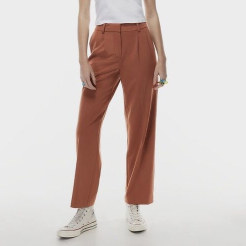 Aritzia Rust Wide-Leg Pants
